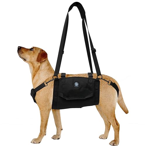 KAJILE Ganzkörper-Hundetragegurt,Große Hunde Unterstützung Rucksack,Fit Joint Verletzungen,Älterer Hund,Arthritis,Chirurgie Rehabilitation,Schwarz,XL von KAJILE