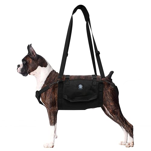 KAJILE Ganzkörper-Hundetragegurt,Große Hunde Unterstützung Rucksack,Fit Joint Verletzungen,Älterer Hund,Arthritis,Chirurgie Rehabilitation,Schwarz,XXL von KAJILE