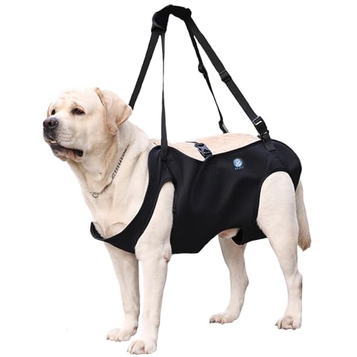 KAJILE Hundelift Geschirr,Hund Trageschlaufe,Haustier Unterstützung für Rehabilitation Sling Lift Straps für Alt,Behindert,Gelenkverletzungen,Arthritis,Schwarz,L von KAJILE