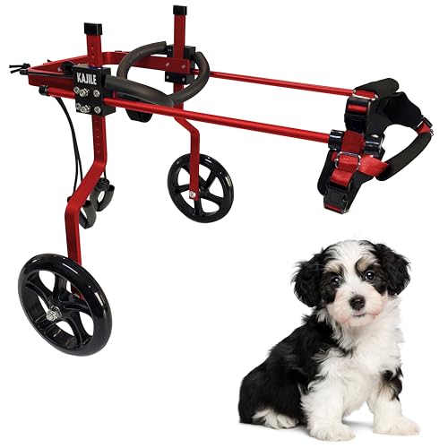 KAJILE Verstellbarer 2-Rad-HundeRollstuhl, S-1 Größe für behinderte Hund Hinterbeine Rehabilitation, geeignete Höhe 22-27cm, Breite 17.5-22.5cm, Länge 18-25cm von KAJILE