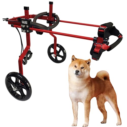 KAJILE Verstellbarer 2-Rad-Hunderollstuhl, L-3 Größe für behinderte Hund Hinterbeine Rehabilitation, geeignete Höhe 43-53cm, Breite 19-25cm, Länge 27-35cm von KAJILE