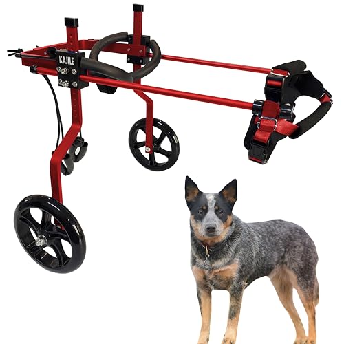 KAJILE Verstellbarer 2-Rad-Hunderollstuhl, M-3 Größe für behinderte Hund Hinterbeine Rehabilitation, geeignete Höhe 30-41cm, Breite 13-18.5cm, Länge 20-28cm von KAJILE