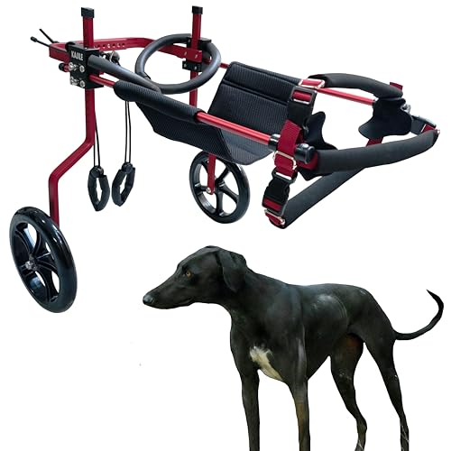 KAJILE Verstellbarer 2-Rad-Hunderollstuhl, XL-1 Größe für behinderte Hund Hinterbeine Rehabilitation, geeignete Höhe 44-60cm, Breite 21-28cm, Länge 30-40cm von KAJILE