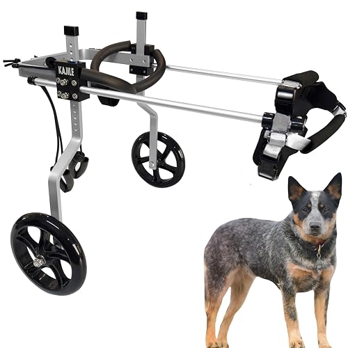 KAJILE Verstellbarer 2-Rad-Hunderollstuhl, L-3 Größe für behinderte Hund Hinterbeine Rehabilitation, geeignete Höhe 43-53cm, Breite 19-25cm, Länge 27-35cm von KAJILE