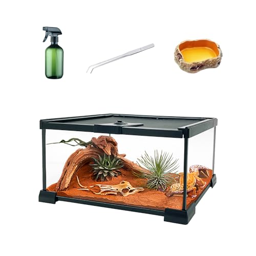 KAKOOTI Reptile Reptilienglas-Terrarien-Kit, 12 "x8 x 6" Terrariengehege Amphibien-Tankkäfig mit magnetischer Schiebetür für kleine Reptilien, Amphibien und Wirbellose. von KAKOOTI