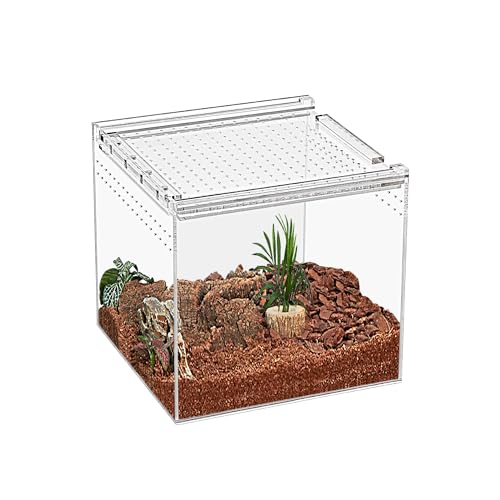 KAKOOTI Reptile Terrarium,7" x 7"x 7" Reptile Zuchtbox, magnetisches Acrylgehäuse, für Tarantula, Einsiedlerkrabbe, springende Spinne, Iguane, Leopard Gecko, Bartdrache, Insekt, Mantis, Skorpione. von KAKOOTI