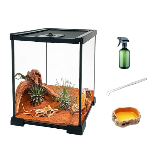 Reptilien-Glas-Terrarium-Set, 20,3 x 20,3 x 30,5 cm, Amphibien, Tankkäfig mit magnetischer Schiebetür für kleine Reptilien, Amphibien und Wirbellose von KAKOOTI