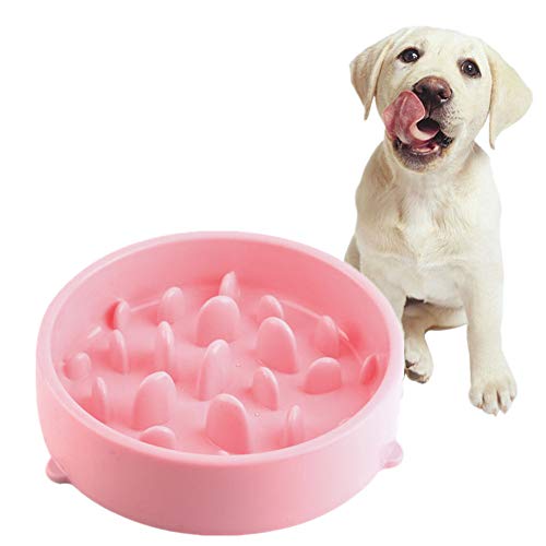 Futternapf Hund Hundenapf Labyrinth interaktive Katze Schüssel Katzen Puzzle Feeder Große Hundenapf Anti Gulp Hundenapf Bloat Stop Hundenapf pink von KANKOO