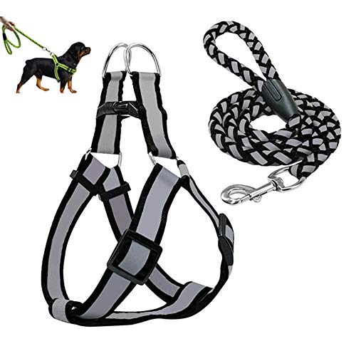 Hundegeschirr Hundegeschirr Kleine Hunde Slip Lead für Hunde Hundegeschirr Kleiner Hund Hundegeschirr für mittlere Hunde Leine für große Hunde Black,L von KANKOO