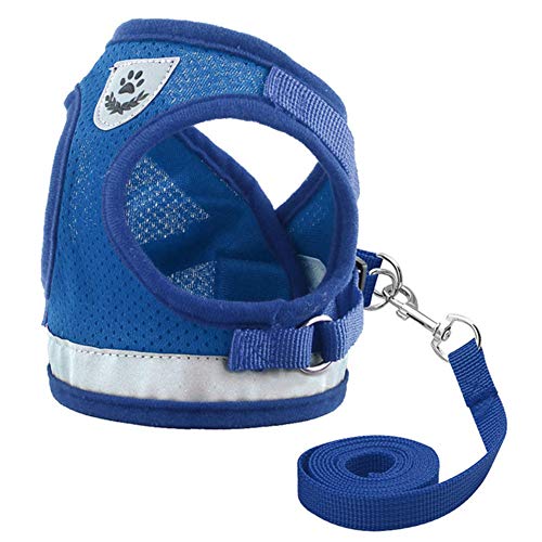 Katzenleine Hundegeschirr Kleine Hunde Hundegeschirr führen Hundegeschirr Medium No Pull Welpengeschirr für kleine Hunde Blue,L von KANKOO