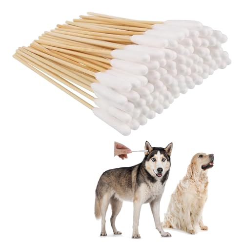 100 Stück Haustiere Ohrreiniger Lang, 15cm Hunde Wattestäbchen Ohrreiniger für Haustiere, Wattestäbchen für Hunde,Ohrreinigung für Hunde Holz Haustiere, für Hunde, Katzen, Pferde, Ohrenreinigung von KARELLS