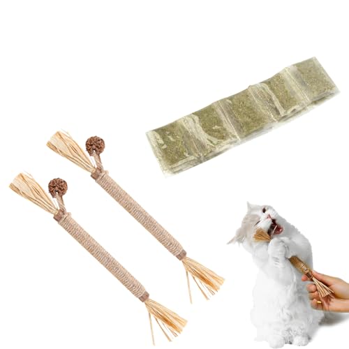 KARELLS Katzenspielzeug Mit Katzenminze,Katzenminze in Premium-Qualität,Katzenminze Sticks für Katzen,Kausticks Set,Matatabi Katze Kauspielzeug,Für ​Katze Zu Spielen,Beißen,Kauen(10G+2PCS) von KARELLS