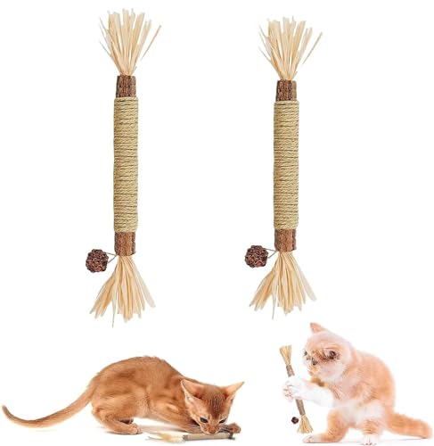 KARELLS Beißspielzeug Katze, Katzenminze Stick, 2 Stück Katzenminze Sticks für Katzen, Matatabi Katze Kauspielzeug, Knabberstangen Katze, Matatabi Katzensticks, Katzen Zahnpflege Spielzeug von KARELLS