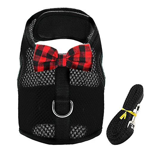 Haustierzubehör Atmungsaktives kleines Katzenhundkabelbaumweste Verstellbares Bowtie Nylon Mesh Welpen Kätzchen Kabelbaum Leine Set for Kaninchenstrustriemen (Color : Black, Size : A) von KASUK