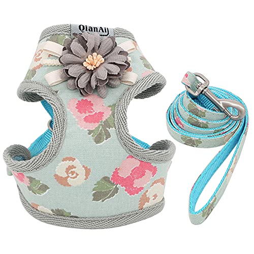 Haustierzubehör Hundegurt Leine Set Mode schöne Florale atmungsaktiv (Color : Blue, Size : B) von KASUK