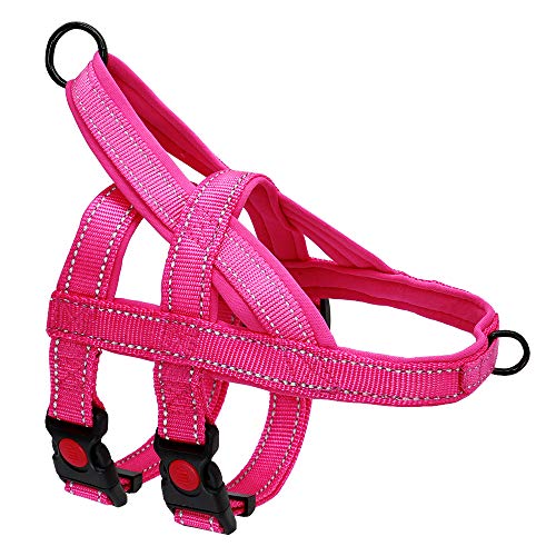 Haustierzubehör Kein Ziehen Nylon Hundegurt Reflektierende einstellbare Hundekabelbaumweste for mittelgroße große Hunde, die Trainingsgürtel (Color : Rose Red, Size : XL1) von KASUK