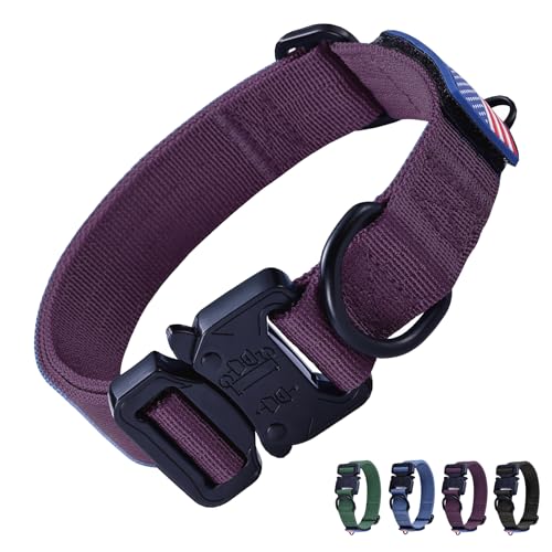 Robustes Hundehalsband (Lila) von KCUCOP