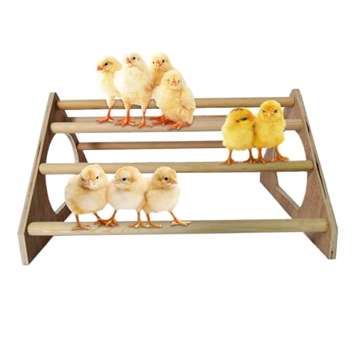 Hühnchen -Schlafstangen Chicken Barch mit 7 Bars Holz 14.6x10.8x7.8in Hühnchen -Schlafstangen mit Seitenlöchern freistehende Hühnchen -Huhn -Huhn -Coop -Accessoires von KDAMGOQE