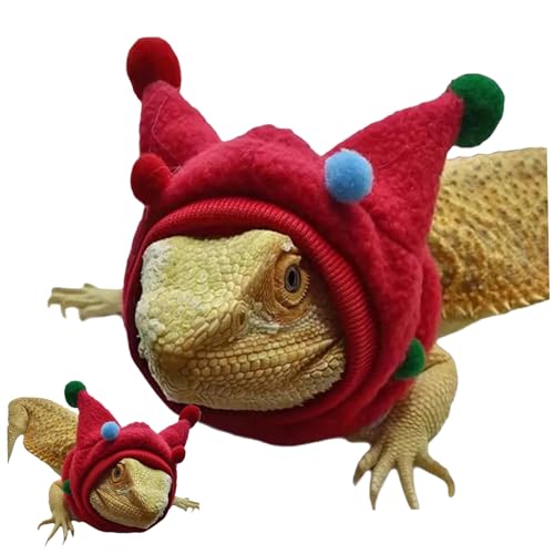 KDAMGOQE Echsenkostüm, lustige bärtige Drachenkleidung mit Pom-Pomen, bärtiges Drachenkostüm für Reptilien-Cosplay-Outfits, rot, bärtige Drachenkleidung von KDAMGOQE