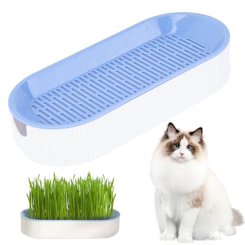 KDAMGOQE Hydroponische Katzengras -Pflanzer Katzengras -Pflanzer Dual Schicht Abnehmbarer Hydroponic Cat Grass Pflanzer S. 8,3x3.6x1.8in Haus Cattery Cat Grass Wachstumskatze, Keine Samen von KDAMGOQE