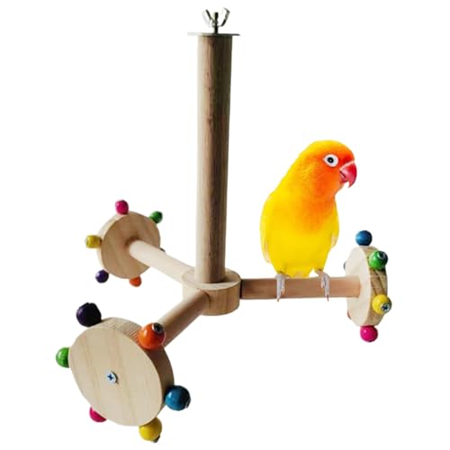 Vogelperch Stand Safe Naturholz Papageienständer interaktive Vogelstangen für Käfig Vogelübung Spielzeug Käfigzubehör für Wellensittich, Sittich, Lovebird, Vogelperch von KDAMGOQE