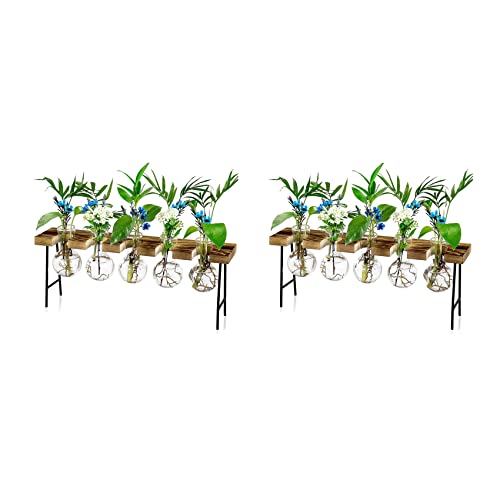 KEALBAUS 2X Vermehrungsstationen Desktop-Luftpflanzen-Terrarium, Glas-Pflanzgefäß, Glasvase mit Holzständer - Pflanzenterrarium von KEALBAUS