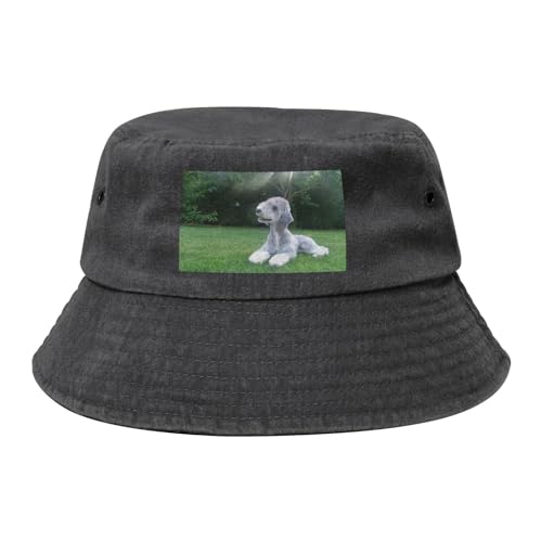 Bedlington Terrier Lustige Hunde Pelzige Hunde Haustiere, Bucket Hat Erwachsene Fischerhut Läufermütze Fischerhüte Sonnenhut von KEDDJI