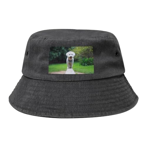 Bichon Frise Bokeh Haustiere Hunde Park Weiße Hunde, Bucket Hat Erwachsene Fischerhut Läufermütze Fischerhüte Sonnenhut von KEDDJI