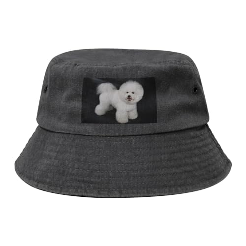 Bichon Frise Weiße Hunde Haustiere Hunde Bichon Frise, Bucket Hat Erwachsene Fischerhut Läufermütze Fischerhüte Sonnenhut von KEDDJI