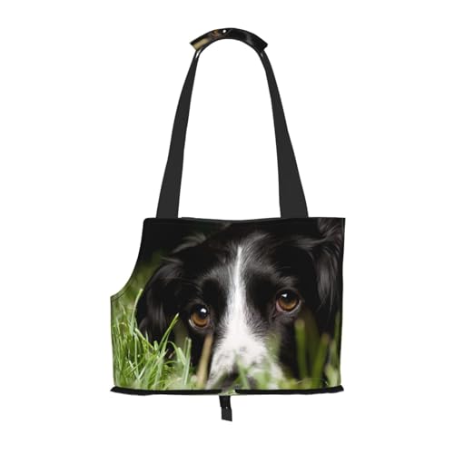 Border Collie Haustiere Gras Schwarzer Border Collie, Weiche Reise-Tragetasche für Haustiere, Handtasche, tragbare Schultertasche für kleine Haustiere von KEDDJI