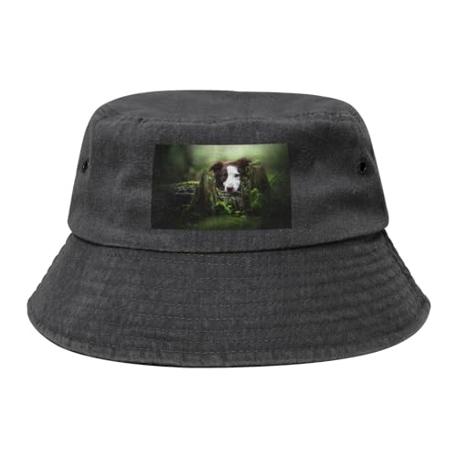 Border Collie Stone Sweet Brown Hunde Haustiere, Bucket Hat Erwachsene Fischerhut Läufermütze Fischerhüte Sonnenhut von KEDDJI