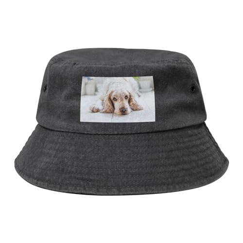 Cocker Spaniel Brauner Spaniel Traurige Hunde Hunde Haustiere, Bucket Hat Erwachsene Fischerhut Läufermütze Fischerhüte Sonnenhut von KEDDJI