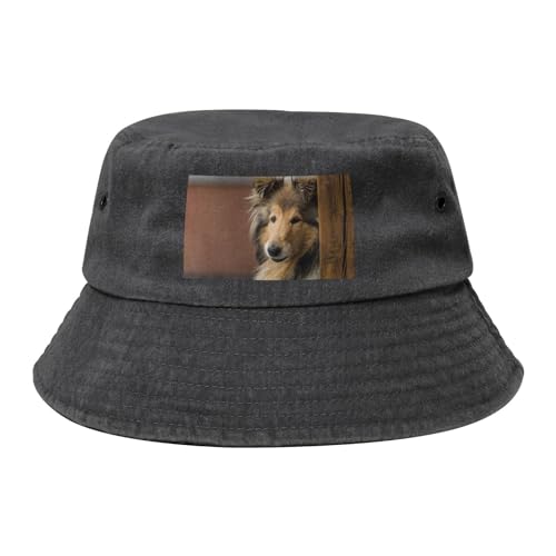 Langhaarcollie, Lassie-Hunde, große, Flauschige Hunde, Haustiere, Bucket Hat Erwachsene Fischerhut Läufermütze Fischerhüte Sonnenhut von KEDDJI