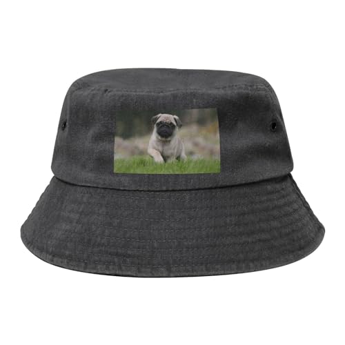 Mops Bokeh Welpen Hunde Rasen Haustiere Mops, Bucket Hat Erwachsene Fischerhut Läufermütze Fischerhüte Sonnenhut von KEDDJI