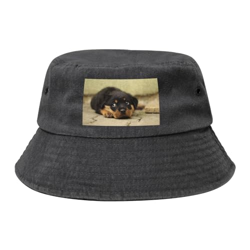 Rottweiler Hunde Süße Hunde Welpen Haustiere Klein, Bucket Hat Erwachsene Fischerhut Läufermütze Fischerhüte Sonnenhut von KEDDJI