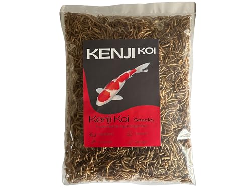 KENJI KOI Snack Mehlwürmer 5 L | Hochwertiges Naturfutter für japanische Koi, Goldfische, Wildvögel, Reptilien | Leckerli zur Fütterung aus der Hand | Vogelfutter | Fischfutter | Aquaristikfutter von KENJI KOI