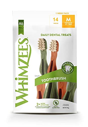 KENNELPAK Pet Things Whimzees Zahnbürste, klein, 14 Stück (6 Stück) von KENNELPAK