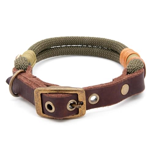 Hundehalsband aus Tau & edlem Leder | Olive Grove | verstellbar & robust | Elegantes, handgefertigtes Design | Halsband Hund für mittelgroße & große Hunde mit Schnalle – Oliv-grün von KENSONS for dogs