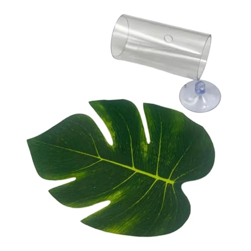 KESOTO Betta Tube Tunnel Interessantes Spielzeug Hideaway Hollow Betta Versteckhöhle von KESOTO