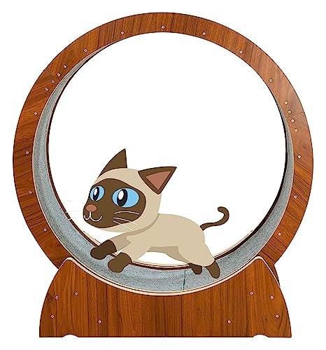 Katzenlaufrad, Laufrad für Katzen, Laufrad for Katzen im Innenbereich, Einklemmschutz-Spinnrad for Katzen als Klettergerüst/Katzenkratzbrett(110cm/43.3") von KEuLen