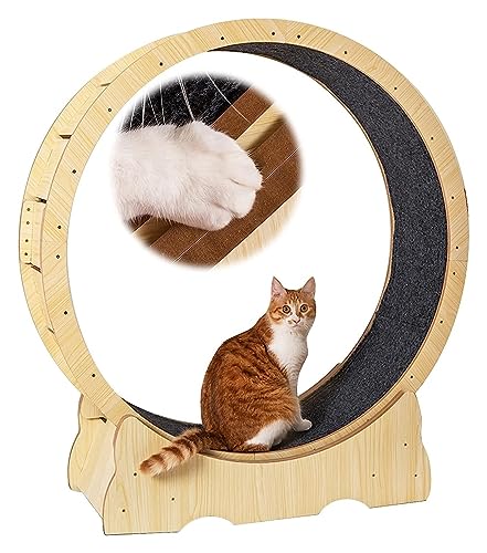 Katzenlaufrad, Laufrad für Katzen, Sicheres Laufrad for Katzentraining, Robustes Katzenlaufrad for Hauskatzen, Katzenriesenrad als Haustierspielzeug(70cm/27.6") von KEuLen