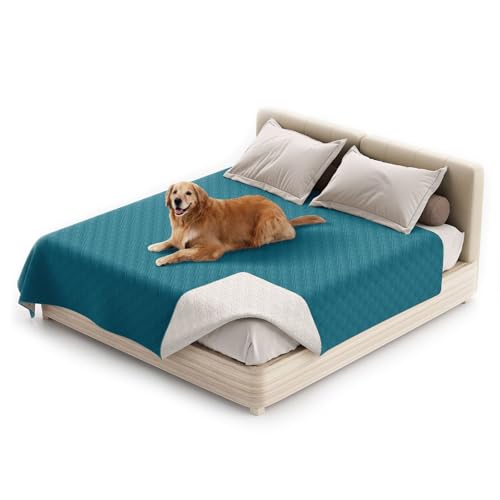 wasserdichte Hundedecke, rutschfeste Hundedecke, Waschbar Haustier Decke Für Hunde, Couchmöbelschutz Für Kinder Hund Katze Autositz (52"*82",Dunkelblau) von KFDZSW