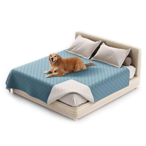 wasserdichte Hundedecke, rutschfeste Hundedecke, Waschbar Haustier Decke Für Hunde, Couchmöbelschutz Für Kinder Hund Katze Autositz (52"*82",Hellblau) von KFDZSW