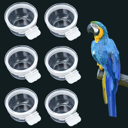 6 Stück kleine Futterbehälter für Vögel, aus Kunststoff, für Papageien, Wasserkäfige, praktische hängende Futterbox für Vögel, Papageien, Nymphensittiche, Kleintiere von KFZDCG