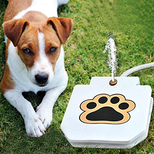 Automatischer Wasserspender für Hunde – Selbstpressender Trinkbrunnen für Hunde | Trinkstation für Hunde | Kein Strom Erforderlich, für den Heim- und Außenbereich von KIMISS