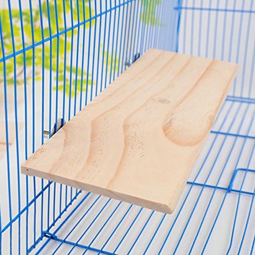 Hamster-Eichhörnchen-Sprungplattform – 13 X 28 cm Großes Haustier-Aktivitätsbrett für Kleine Tiere, Ideal für Hamster, Eichhörnchen und Andere Kleine Haustiere, Lustiger und von KIMISS