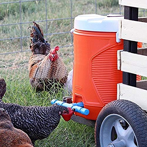 KIMISS 10 Stück Automatische Rote Tränkenäpfe für Nutztiere – Ideal Zum Trinken von Wachteln und Hühnern, Kommt mit Nippelhaltungsausrüstung, Perfekten Geflügel-Futterspendern von KIMISS