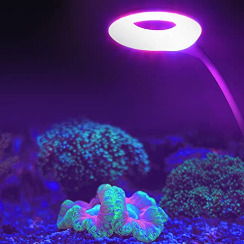 KIMISS 3W Pflanzenwachstums-LED-Licht, USB-weiße Wasserpflanzenwachstumslampe für Aquarium, Hydrokultur, Innengarten - FX006G von KIMISS