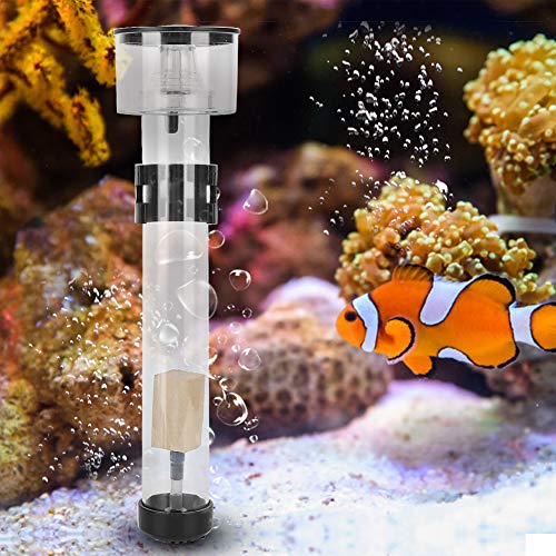 KIMISS Acryl-Aquarium-Eiweißabschäumer-Separator mit IQ5-Aquarienfilterzubehör für eine Effiziente Fischzucht von KIMISS