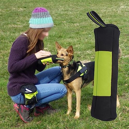 KIMISS Tragbare Leckerli-Tasche für das Hundetraining, wasserdichte Belohnungstasche aus Rindsleder für Spaziergänge, Erhältlich in Orange und Grün (M) von KIMISS